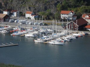 DSCN7597